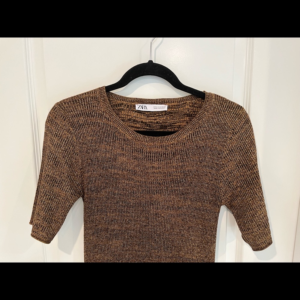 Shimmering brown Zara sweater maxi dress